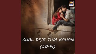 Chal Diye Tum Kahan LoFi [upl. by Valaree]