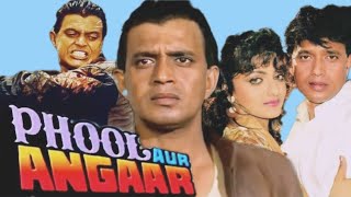 Phool Aur Angaar 1993 Full Movie Review and Facts Mithun Chakraborty and Prem Chopra [upl. by Aicile]