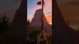 Arya Sumba Resort [upl. by Anihpled]