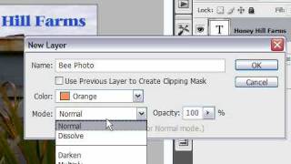 Create a New Layer in Photoshop CS3 [upl. by Harehs795]