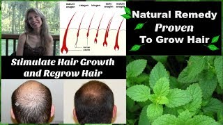 Natural Home Remedy For Hair Loss amp Thinning  Proven To Grow Hair Faster  Peppermint Oil [upl. by Hung]