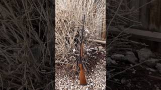 Old double barrel shotguns are the best Especially 16 gauge [upl. by Jenilee]