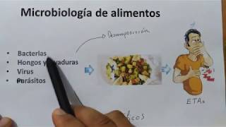 ¿Qué es la microbiología de alimentos [upl. by Anees]