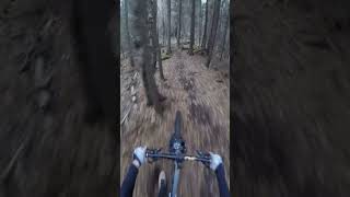 Fun drop on Discreet encounter thunderbay mtb mountainbikeriding canadianprovince ontariotrail [upl. by Eitac]