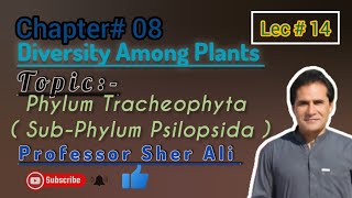 Phylum Tracheophyta Psilopsida chapter 8th by Professor Sher Ali [upl. by Julina]