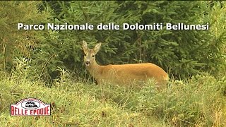 Parco Nazionale delle Dolomiti Bellunesi [upl. by Roby434]