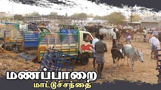 Manapparai mattu santhai  மணப்பாறை மாட்டு சந்தை [upl. by Aikemat498]