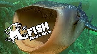 Feed and Grow Fish Gameplay German  Whale Shark ist KRASS [upl. by Vasyuta]