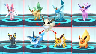 How to Get All Costume Eevee Forms Eevee Evolution in Pokemon go [upl. by Ainezey377]