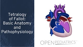 Tetralogy of Fallot Basic Anatomy and Pathophysiology by P Lang L DelSignore  OPENPediatrics [upl. by Reitman]