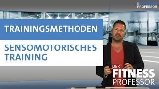 Trainingsmethoden  Sensomotorisches Training [upl. by Htor]