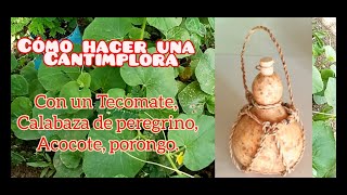 Como Hacer Cantimplora de Tecomate calabaza de peregrino Lagenaria Siceraria explicado desde cero [upl. by Esahc]