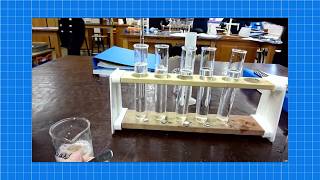 A level Biology ENZYMES REQUIRED PRACTICAL [upl. by Lennox]