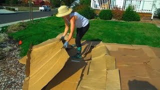 Convert Your Lawn by Sheet Mulching [upl. by Belldame864]