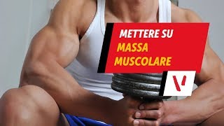 Mettere su massa muscolare [upl. by Eissirhc]