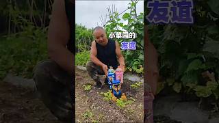 Dog Robot 🤖🥵New Viral Gadgets Smart Appliances Kitchen Utensils Home Inventions shorts gadgets [upl. by Varick920]