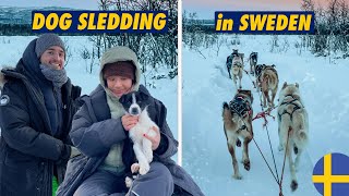 Incredible DOG SLEDDING 🇸🇪 in SWEDISH Lapland [upl. by Eillehs]