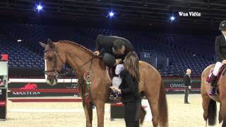 Gucci Paris Masters 2012 November 29th  Invitational 1m15 [upl. by Susette]