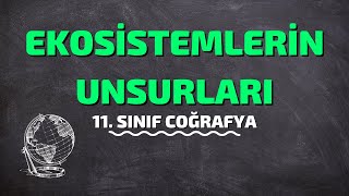 11Sınıf Coğrafya  Ekosistemlerin Unsurları [upl. by Dar783]