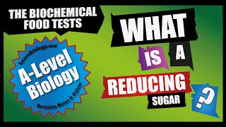 What is a reducing sugar  ALevel Biology [upl. by Anavlis133]