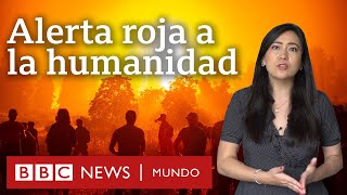 5 revelaciones del informe de la ONU sobre cambio climático y qué dice sobre América Latina [upl. by Anead]