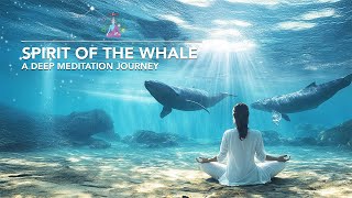 Spirit of the Whale meditation connect to the SIRIUS SYSTEM [upl. by Benedetta]