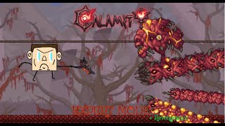 Terraria Calamity  Perforator Hive  Expert  Revengance mode [upl. by Gillan338]