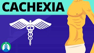 Cachexia Medical Definition  Quick Explainer Video [upl. by Erda62]