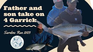 Garrick mayhem  Father and son get four Garrick  Winklespruit beach  Sardine run 2023 [upl. by Basile394]