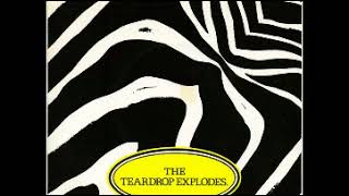 Reward The Teardrop Explodes [upl. by Arakat]