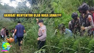 Akhibat Menyentuh Ular Naga Jawa Bisa Menin994L  Apakah Benar Sisiknya Berbisa Ini Faktanya [upl. by Akihsal404]