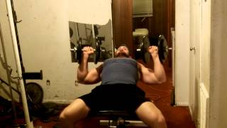 Upper Body Workout Dumbbells [upl. by Suiradel]