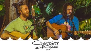 Iya Terra  Movement Live Music  Sugarshack Sessions [upl. by Nit]