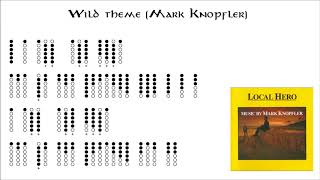 Wild theme Mark Knopfler  Tin Whistle [upl. by Ylahtan937]