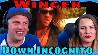 Reaction To Winger  Down Incognito Official Music Video THE WOLF HUNTERZ REACTIONS [upl. by Irakuy]