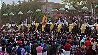 Uthralikavu Pooram 2024 [upl. by Oirrad]