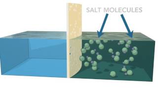 Reverse Osmosis Process [upl. by Anilejna]