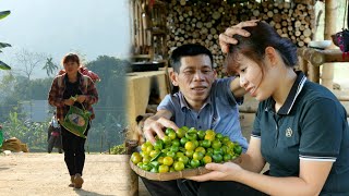 Harvest kumquats and cabbage go to the market to sell cook live a peaceful life [upl. by Odlo332]