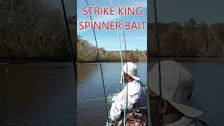 FALL RIVER BASS CATCHIN kayakbassfishing bassfishingstrikeking [upl. by Alletse]