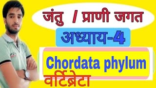 chordata phylum and vertibrets ssc rpsc 2nd grade teacher NTPC railway by Anil dhaka in hindi [upl. by Ahsiyk]