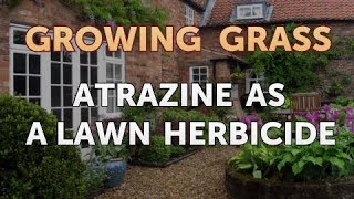 Atrazine as a Lawn Herbicide [upl. by Arvo]