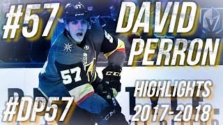 DAVID PERRON HIGHLIGHTS 1718 HD [upl. by Tanberg]