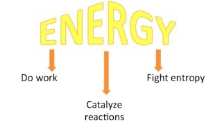 Campbells Biology Chapter 8 An Introduction to Metabolism [upl. by Atneciv556]