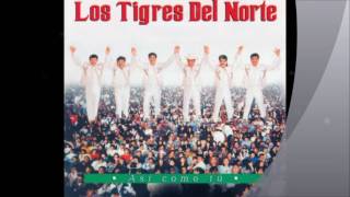 Los Tigres Del Norte Enseñarte a Respetar [upl. by Lalaj]