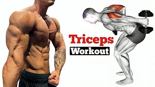 Ultimate Triceps Workout for Size and Strength [upl. by Sower]