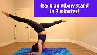 Learn HOW TO do an ELBOW STAND  FOREARM STAND in 3 minutes [upl. by Aihsiyt]