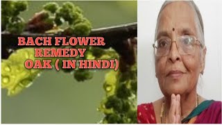 Bach Flower Remedy OAK in hindi [upl. by Ilera]