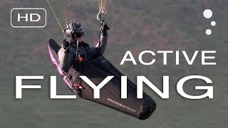 Paraglider Control How To Improve Your Active Flying [upl. by Lorola]