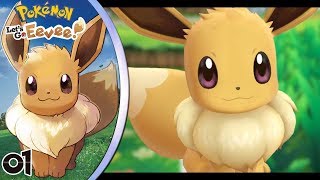 ¡Volvemos a Kanto con Eevee 01  Pokémon Lets Go Eevee [upl. by Colley]