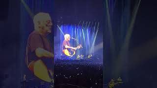 David Gilmour Oct 25 2024 [upl. by Daenis]